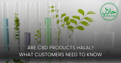 Are CBD Products Halal What UK Consumers Need to Know