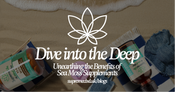 Dive into the Deep: Unearthing the Benefits of Sea Moss Supplements