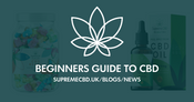 A Beginner’s Guide to CBD