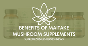 Health Benefits of Maitake Mushroom Supplements
