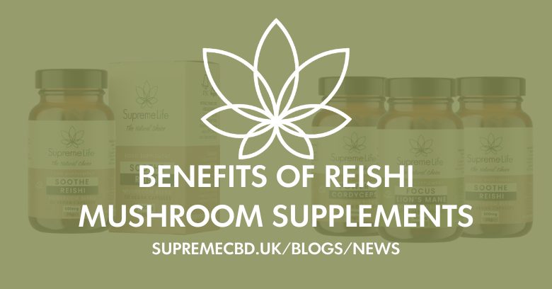 The benefits of Reishi mushroom supplements