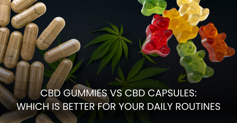 CBD Gummies vs Capsules: Which Is Better for Your Daily Routines?