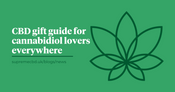 A green background with the Supreme CBD logo with text explaining the post as a CBD gift guide for cannabidiol lovers everywhere