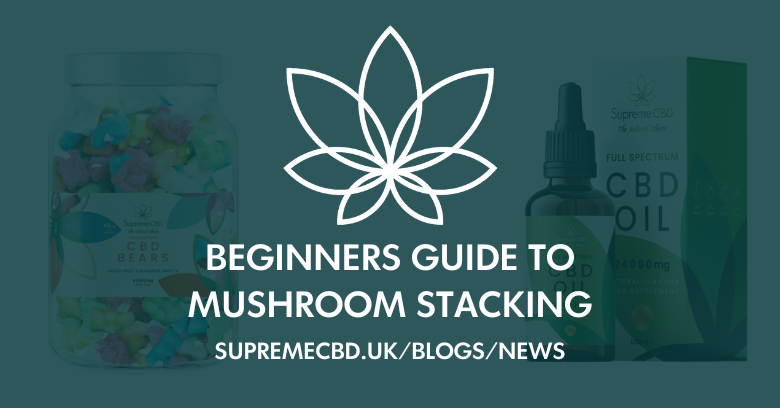 The Beginner'S Guide to Nootropic Mushrooms: Where to Start 