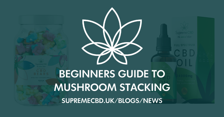 Mushroom stacking: A Beginner's Guide
