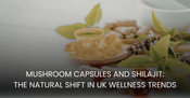 Mushroom Capsules and Shilajit: The Natural Shift in UK Wellness Trends