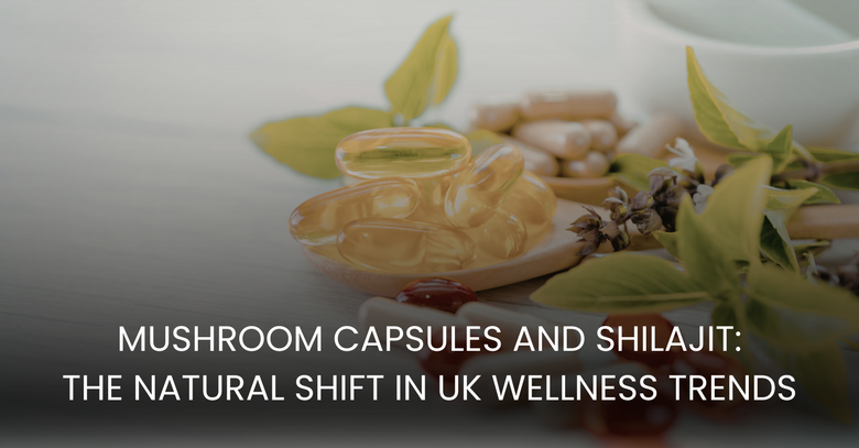 Mushroom Capsules and Shilajit: The Natural Shift in UK Wellness Trends
