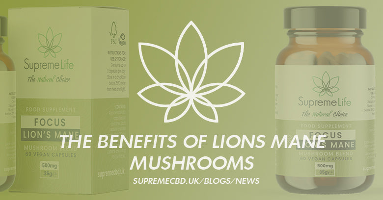 The Benefits of Lions Mane Mushrooms