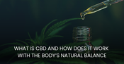What Is CBD and How Does It Work With the Body’s Natural Balance?