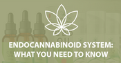 The Endocannabinoid System: What you need to know
